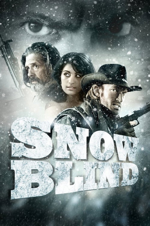 Movie poster for Snowblind (2010)