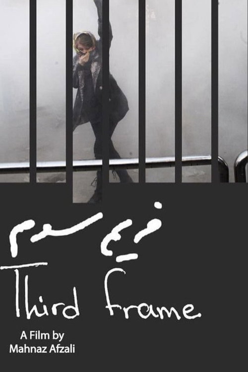 Movie poster for The Third Frame