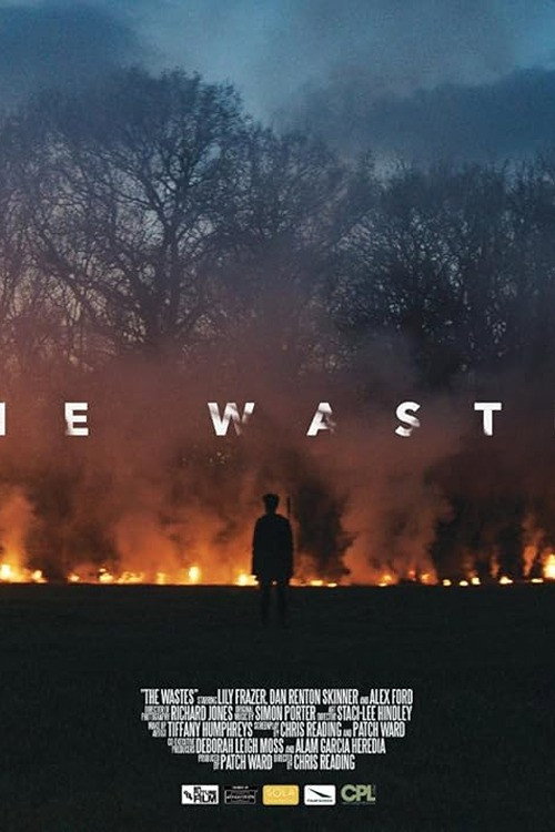 Movie poster for The Wastes (2016)