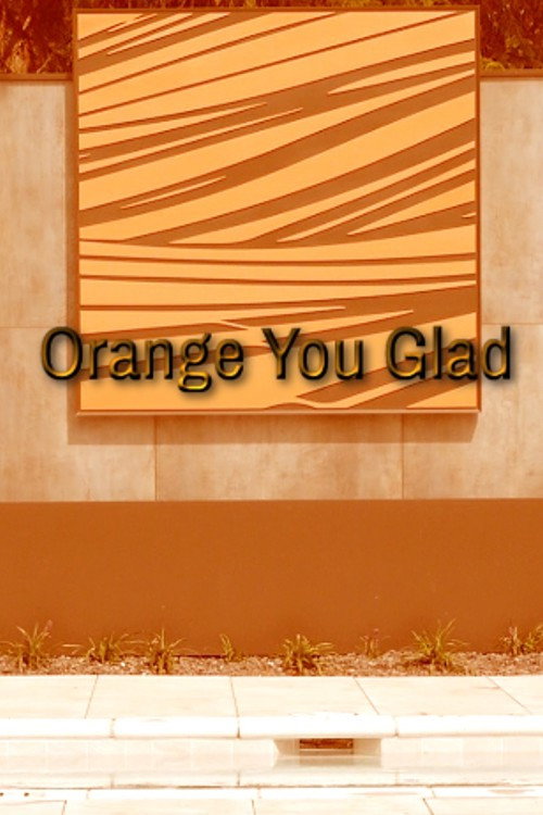 Movie poster for Orange You Glad