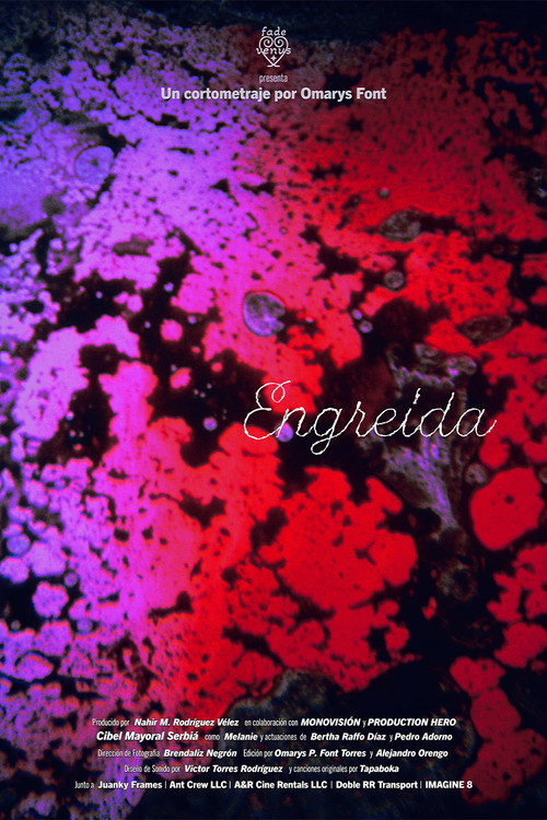 Movie poster for Engreída (2025)