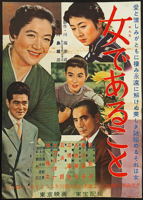 Movie poster for Woman Unveiled (1958)