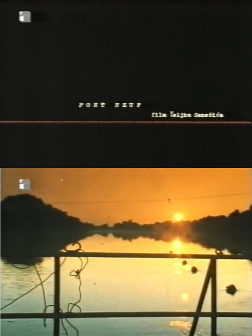 Movie poster for Pont Neuf (1997)