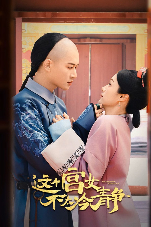 这个宫女不太冷静 poster