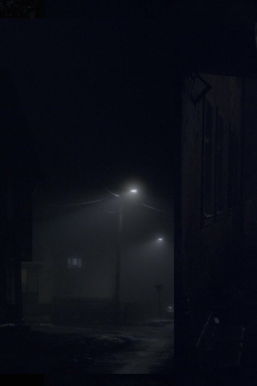 Movie poster for The River and A Cat (2024)