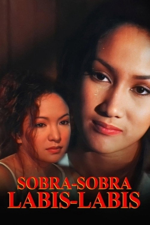 Movie poster for Sobra Sobra, Labis Labis (1996)