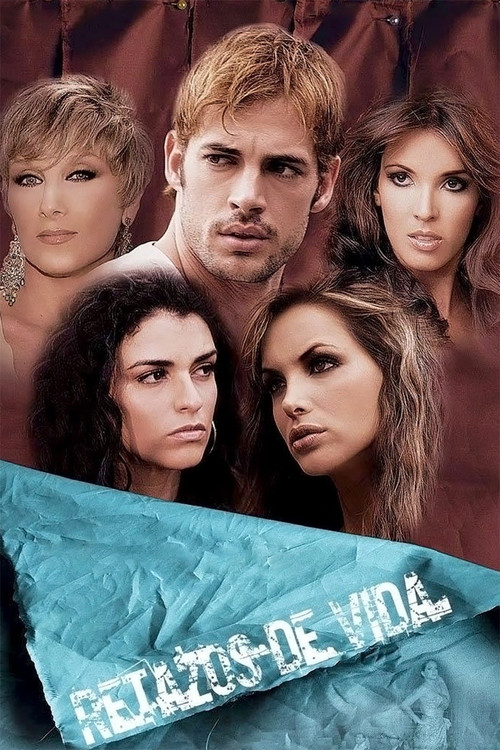Movie poster for Scraps of Life (2008)