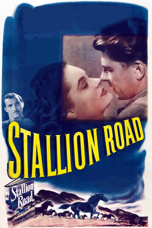 Movie poster for Stallion Road (1947)
