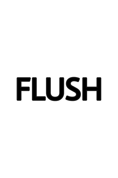 Movie poster for Flush (2003)