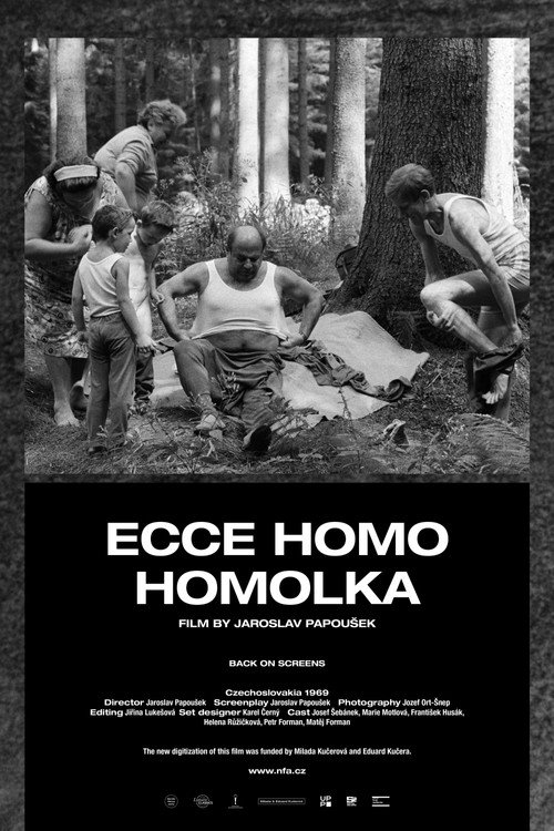 Movie poster for Behold Homolka (1970)