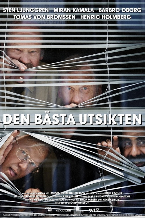 Movie poster for The Best View (2011)