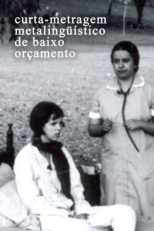 Movie poster for Curta-metragem Metalinguístico de Baixo Orçamento (2003)