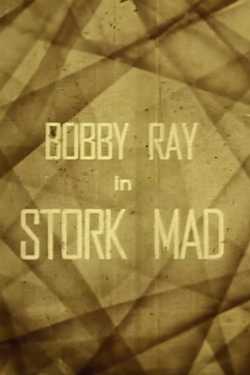Movie poster for Stork Mad (1926)