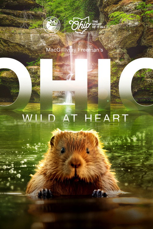 Movie poster for Ohio: Wild at Heart (2025)