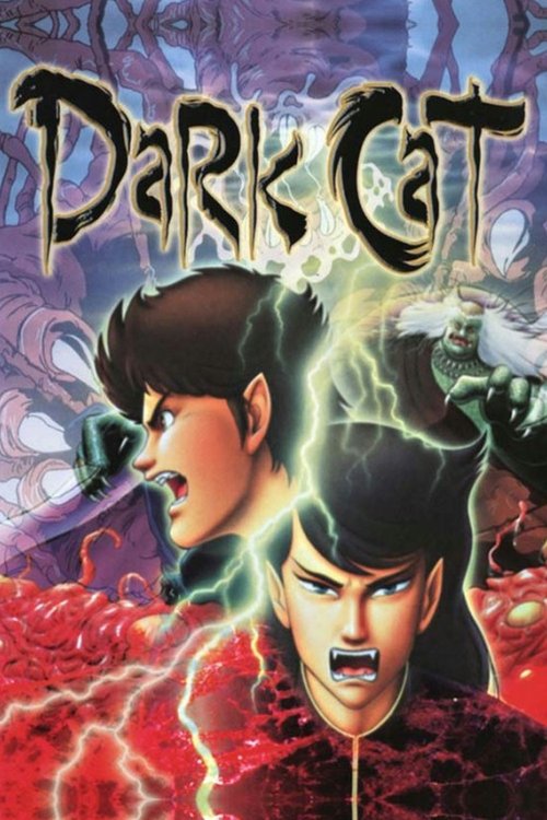 Movie poster for Dark Cat (1991)