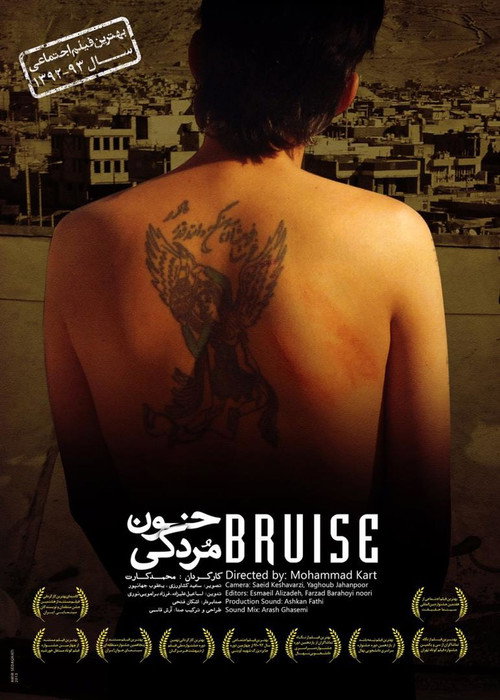 Movie poster for Bruise (2013)