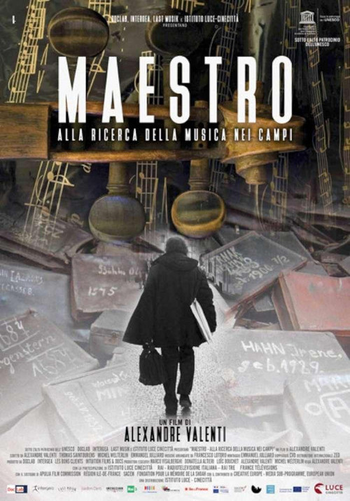 Movie poster for Maestro (2017)