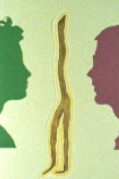 Movie poster for The Root That Ate Roger Williams (2011)