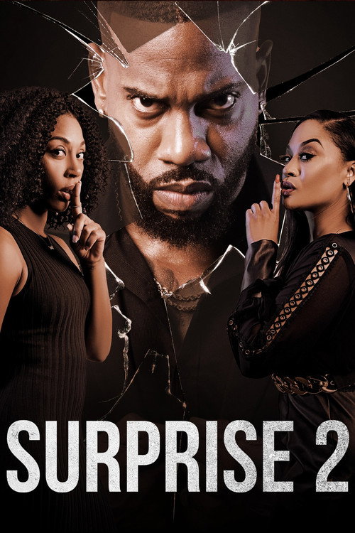 Movie poster for Surprise 2 (2023)
