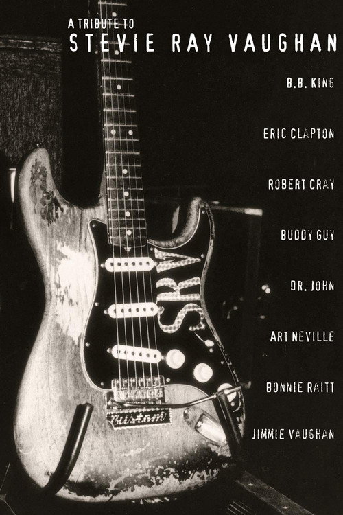 Movie poster for A Tribute to Stevie Ray Vaughan (1996)