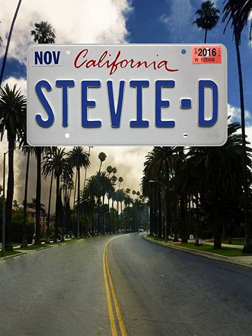 Movie poster for Stevie D (2016)