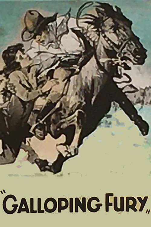 Movie poster for Galloping Fury (1927)