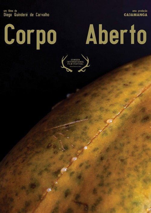 Movie poster for Corpo Aberto (2019)