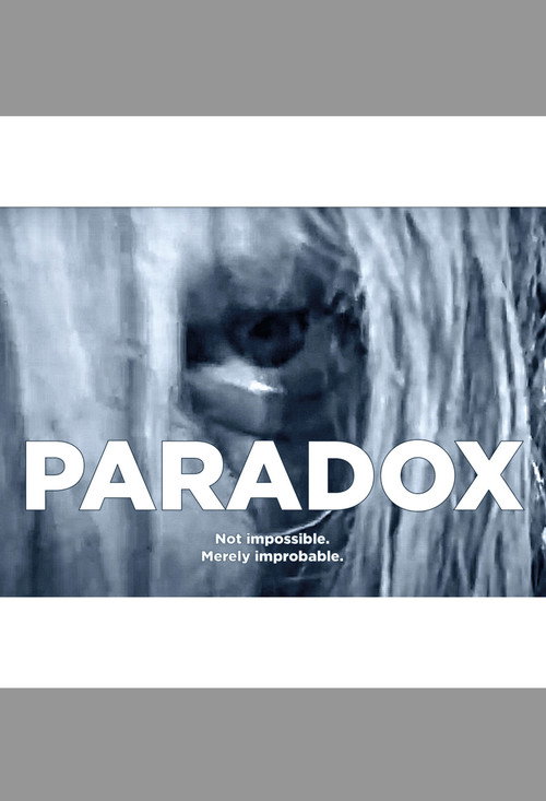 Movie poster for Paradox (2003)