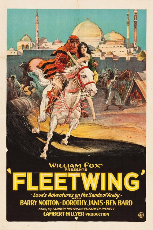 Movie poster for Fleetwing (1928)
