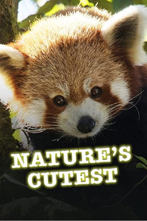 Movie poster for Nature's Cutest (2021)