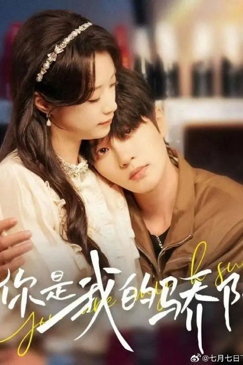 你是我的骄阳 poster