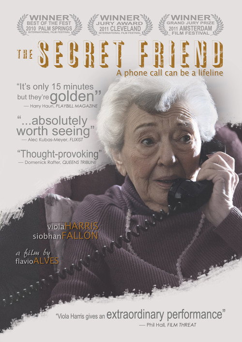 Movie poster for The Secret Friend (2010)
