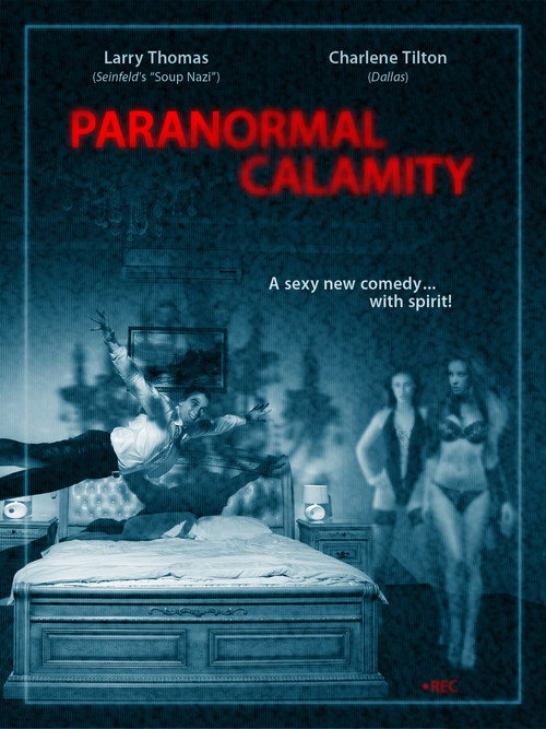 Movie poster for Paranormal Calamity (2010)