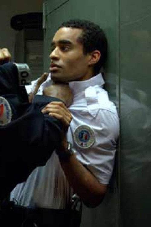 Movie poster for Négropolitain (2008)