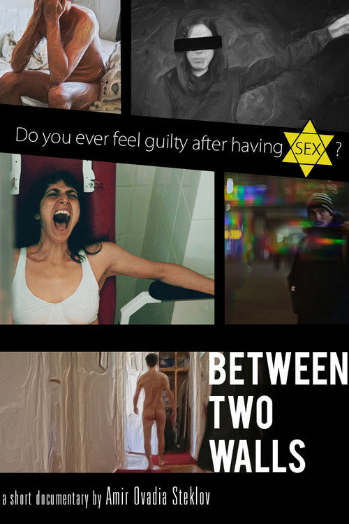 Movie poster for Between Two Walls (2019)