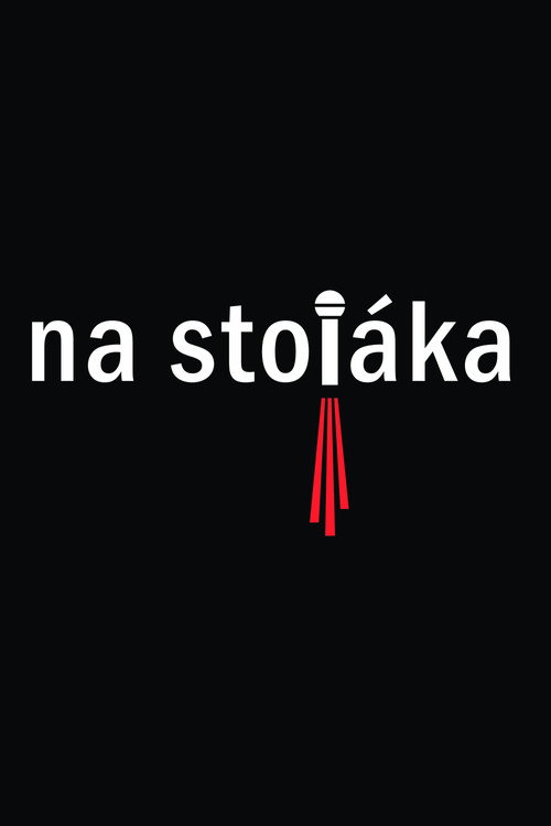 Series poster for Na stojáka (2004)