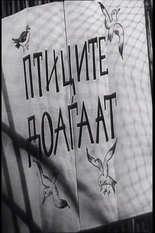 Movie poster for The Birds Are Coming (1956)