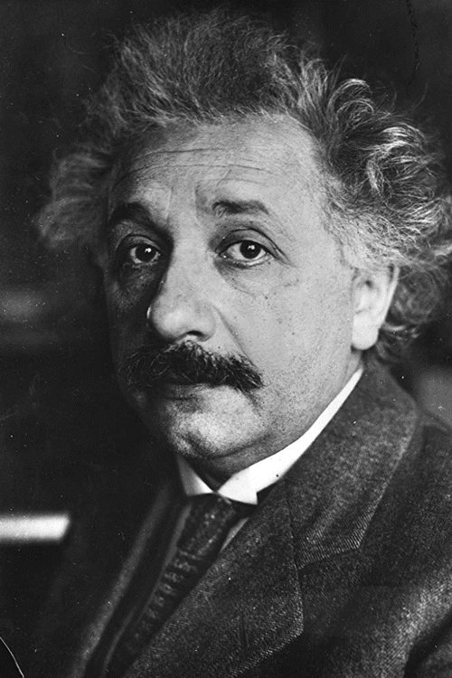 Albert Einstein profile