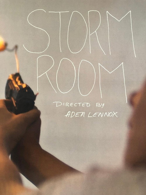 Movie poster for Storm Room (2018)