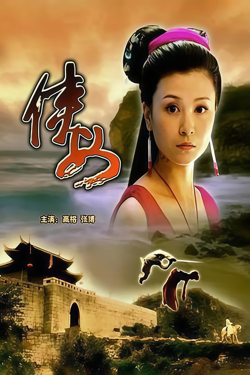 Movie poster for 侠女 (2006)
