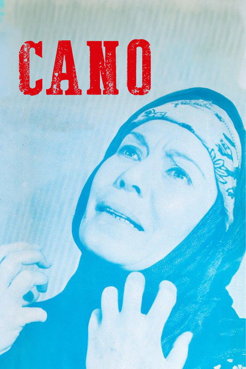 Movie poster for Cano: Acı Izdırap (1973)