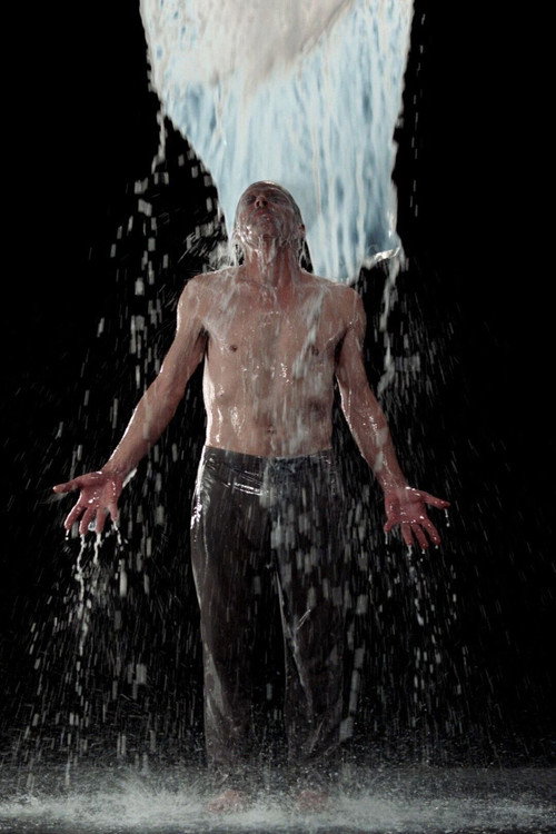 Movie poster for Inverted Birth (2014)