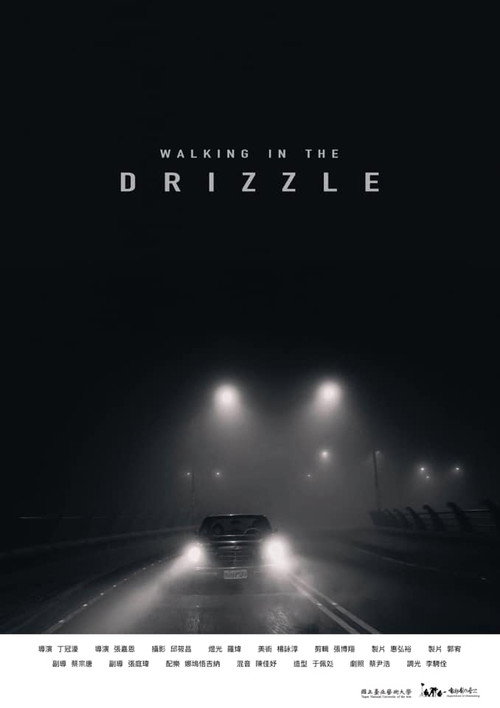 Movie poster for Walking in the Drizzle (2020)