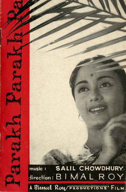 Movie poster for The Test (1960)