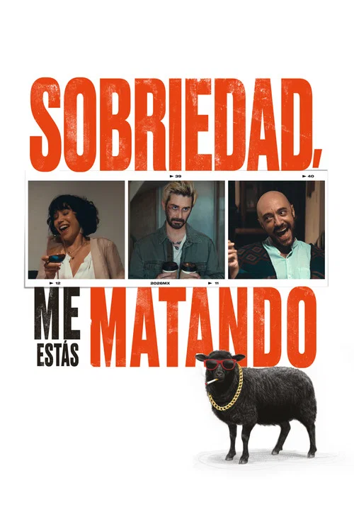 Movie poster for Dear Sobriety: You're Killing Me (2026)
