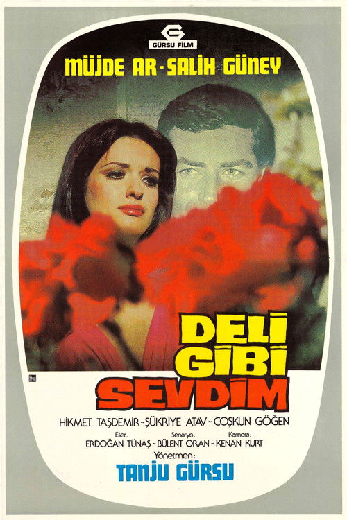 Movie poster for Deli Gibi Sevdim (1976)