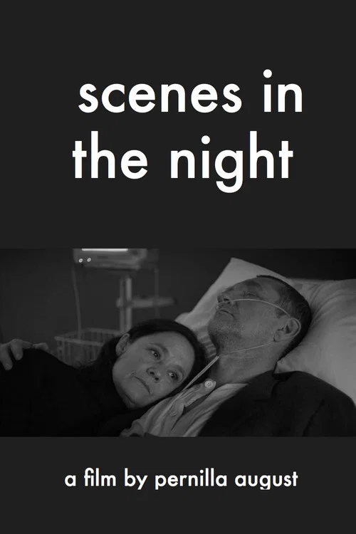 Movie poster for Scenes in the Night (2018)