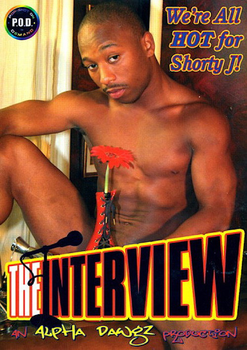 Movie poster for The Interview (2007)