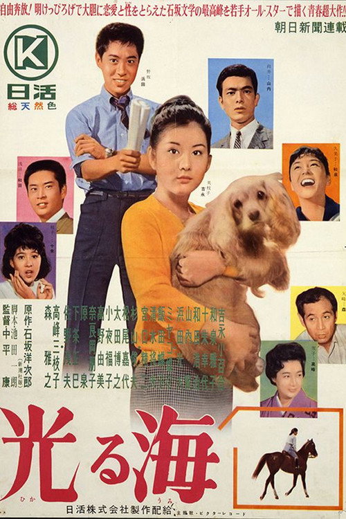 Movie poster for Bright Sea (1963)