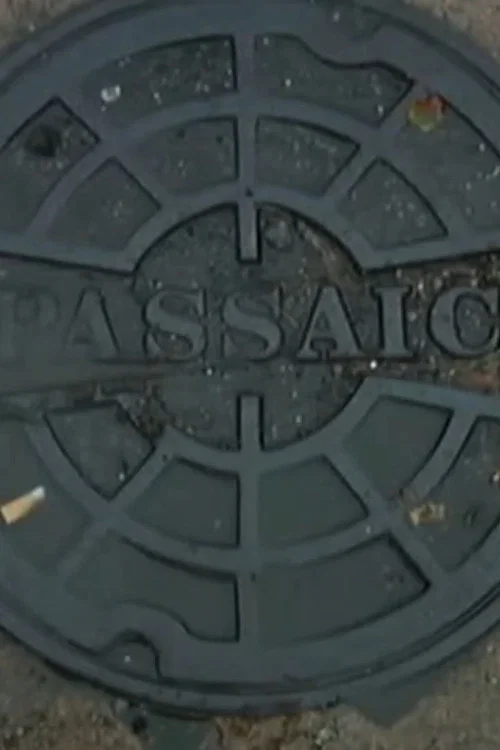 Movie poster for Passaic Mosaic (2008)